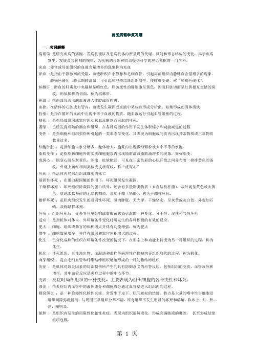 兽医病理学复习题5页word文档