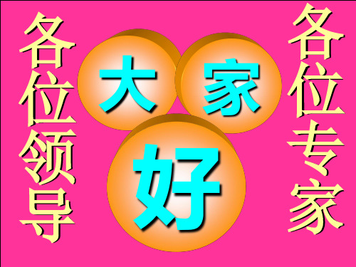 油水井高效堵水堵漏技术