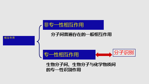 化学生物学相互作用与分子识别PPT课件