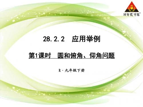 第1课时 圆和俯角、仰角问题
