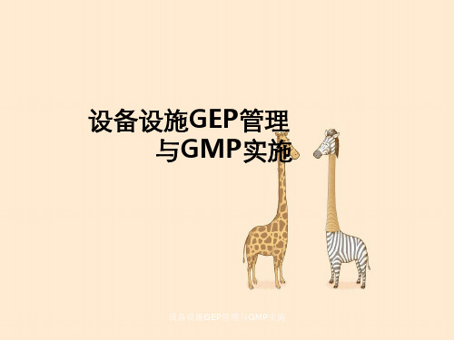 设备设施GEP管理与GMP实施