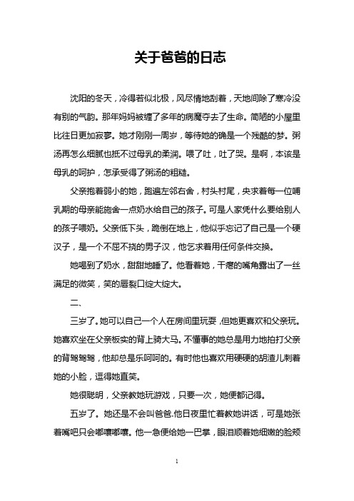 关于爸爸的日志