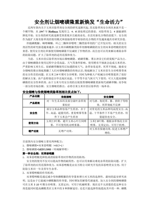 安全剂让烟嘧磺隆重新焕发“生命活力”(改)