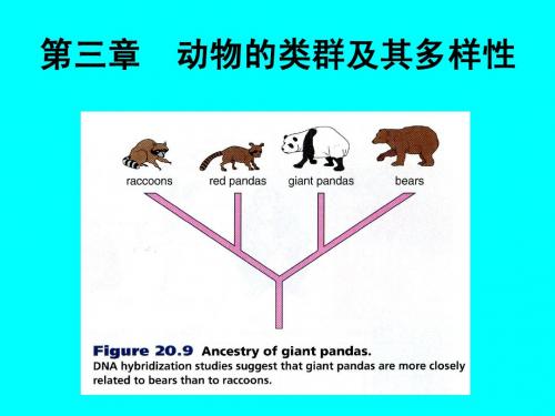 第三章原生动物