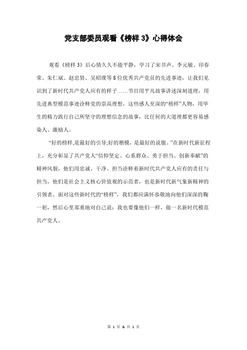 党支部委员观看《榜样3》心得体会
