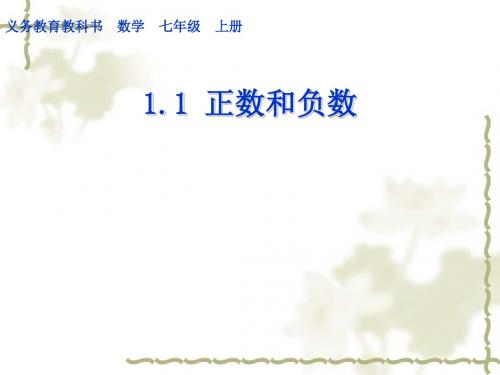 1.1 正数和负数课件 (共49张PPT)