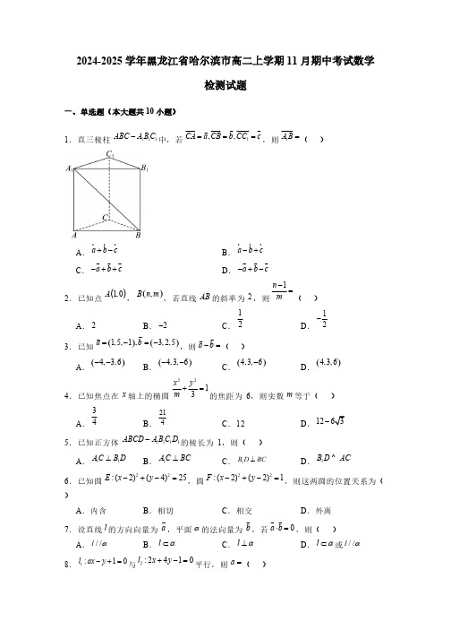 2024-2025学年黑龙江省哈尔滨市高二上学期11月期中考试数学检测试题(含解析)