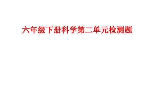 教科版小学科学六年级下册第二单元试卷及答案