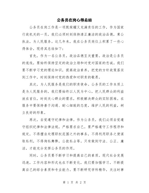 公务员在岗心得总结