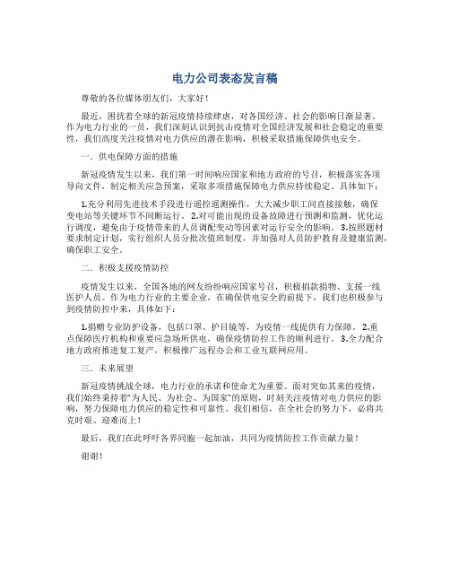 电力公司表态发言稿