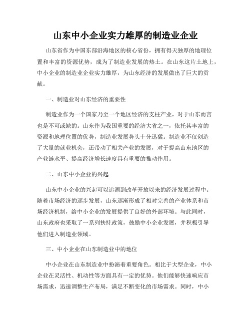 山东中小企业实力雄厚的制造业企业