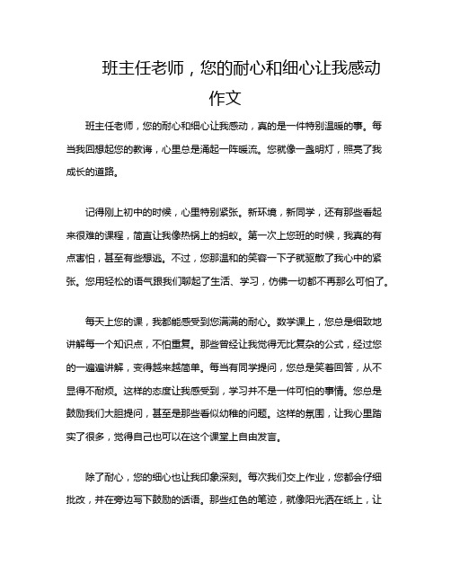 班主任老师,您的耐心和细心让我感动作文