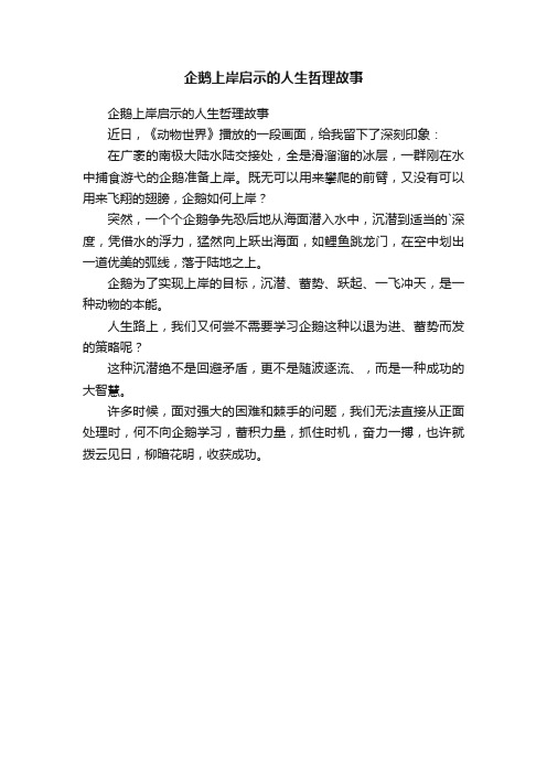 企鹅上岸启示的人生哲理故事