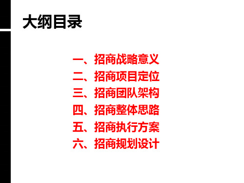 农产品公司招商营销策划方案