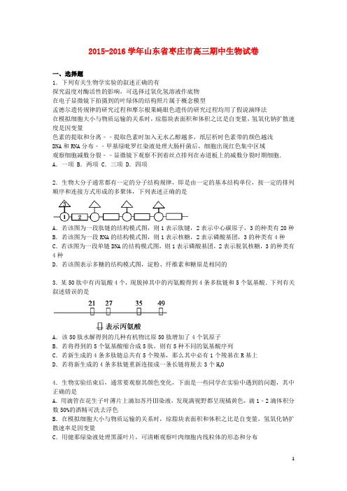 山东省枣庄市2016届高三生物上学期期中试卷(含解析)