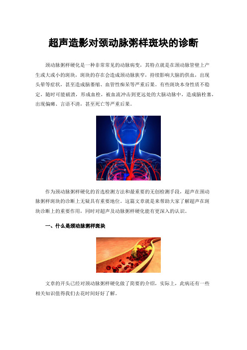 超声造影对颈动脉粥样斑块的诊断