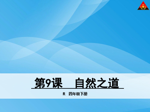 四年级语文下册9 自然之道语文课件PPT