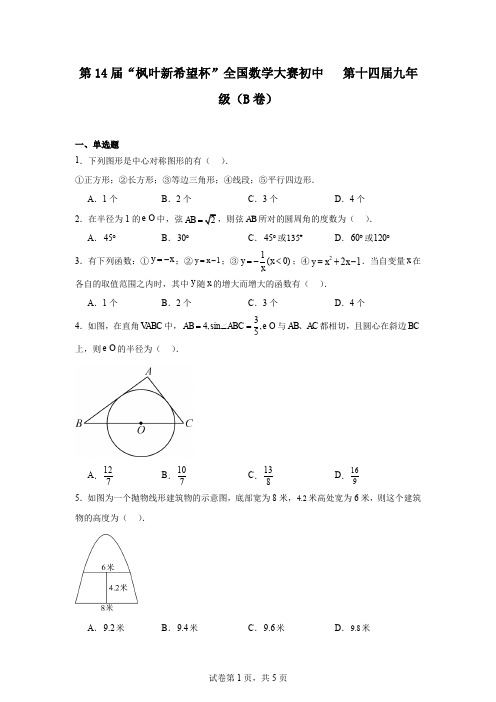 第14届“枫叶新希望杯”全国数学大赛初中第十四届九年级(B卷)