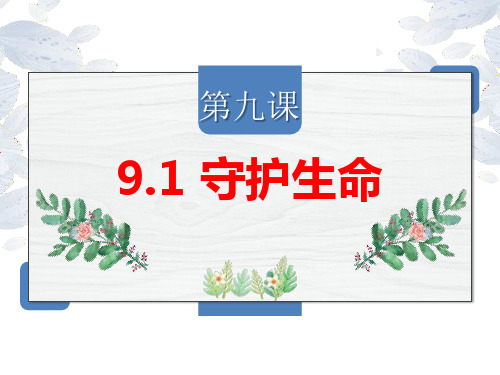 9.1 守护生命 课件(31张PPT)-2023-2024学年部编版道德与法治七年级上册