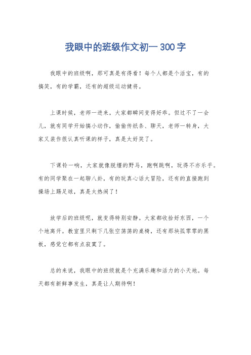 我眼中的班级作文初一300字