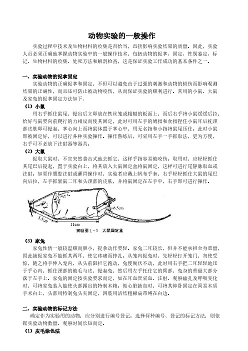 动物实验的常规操作