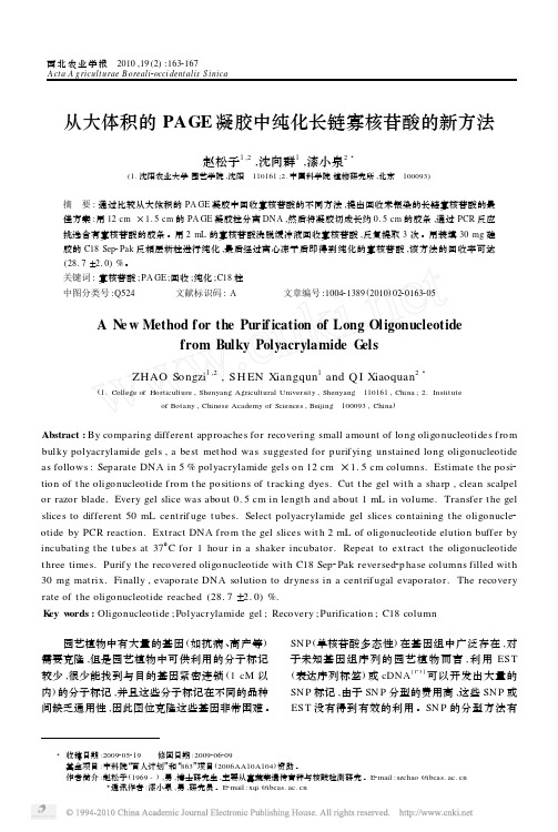 从大体积的PAGE凝胶中纯化长链寡核苷酸的新方法