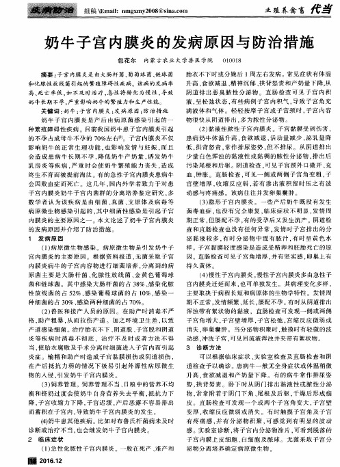 奶牛子宫内膜炎的发病原因与防治措施