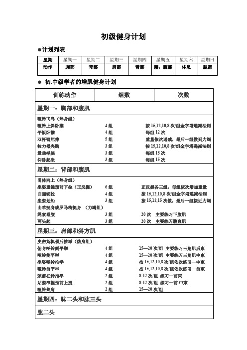 会员增肌健身计划-详细