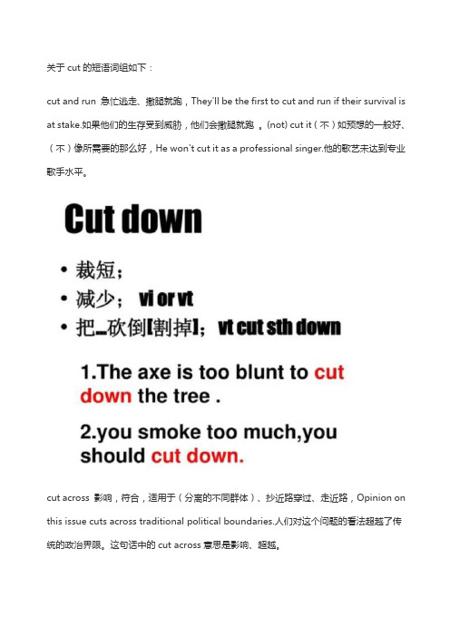 关于cut的短语词组