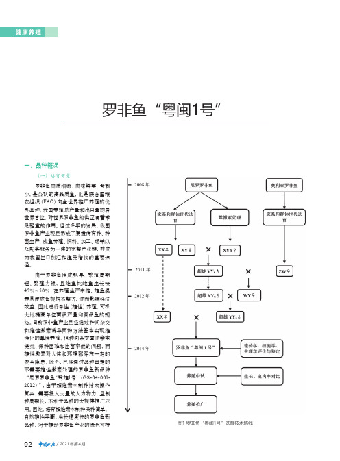 罗非鱼“粤闽1号”