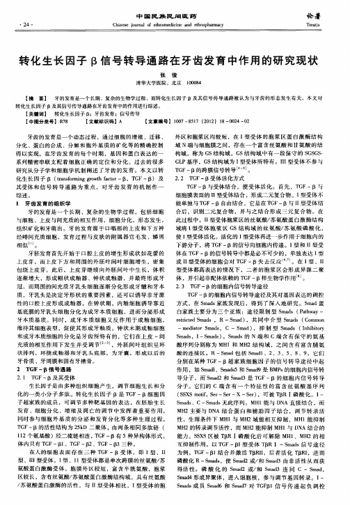 转化生长因子β信号转导通路在牙齿发育中作用的研究现状