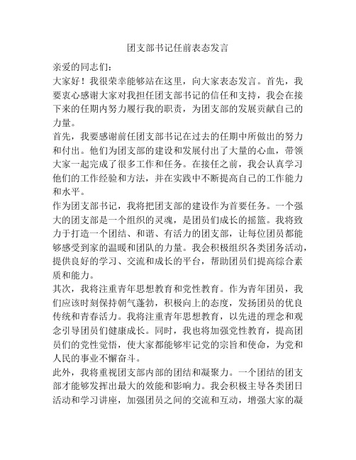 团支部书记任前表态发言