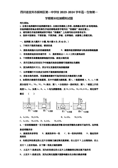 四川省宜宾市叙州区第一中学校2023-2024学年高一生物第一学期期末检测模拟试题含解析