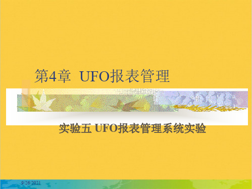 UFO报表管理全套PPT