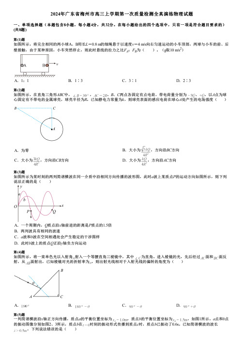 2024年广东省梅州市高三上学期第一次质量检测全真演练物理试题