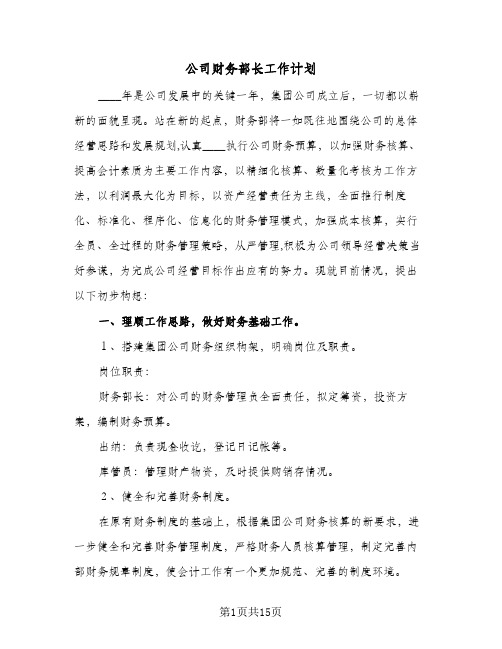 公司财务部长工作计划(4篇)