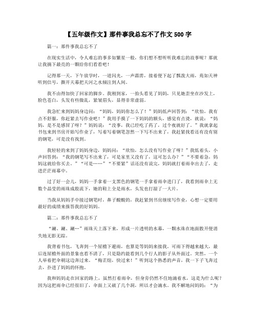 【五年级作文】那件事我总忘不了作文500字