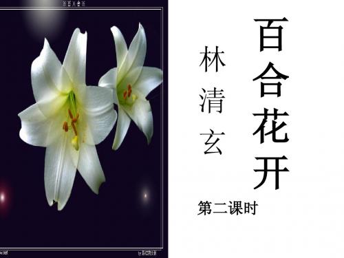 小学语文六上《百合花开》ppt课件