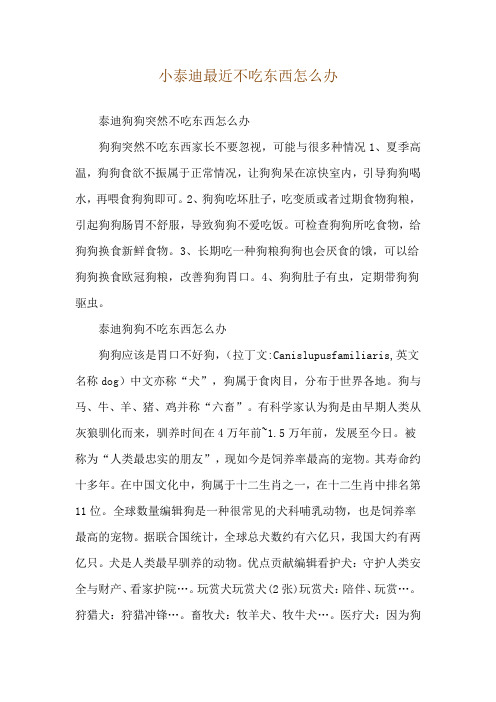 小泰迪最近不吃东西怎么办