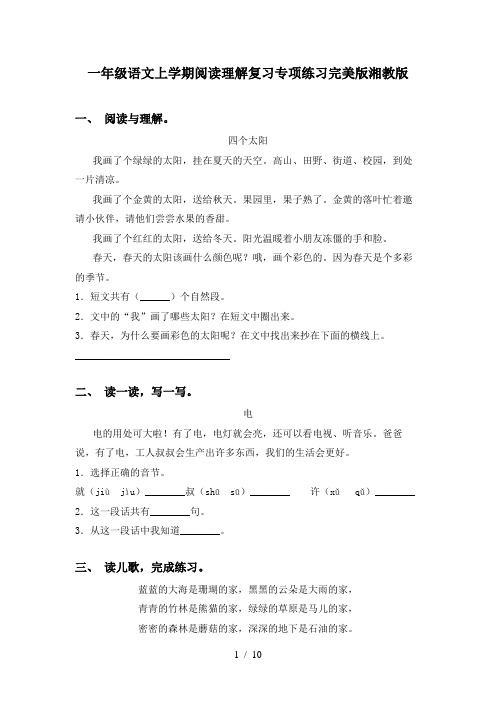 一年级语文上学期阅读理解复习专项练习完美版湘教版