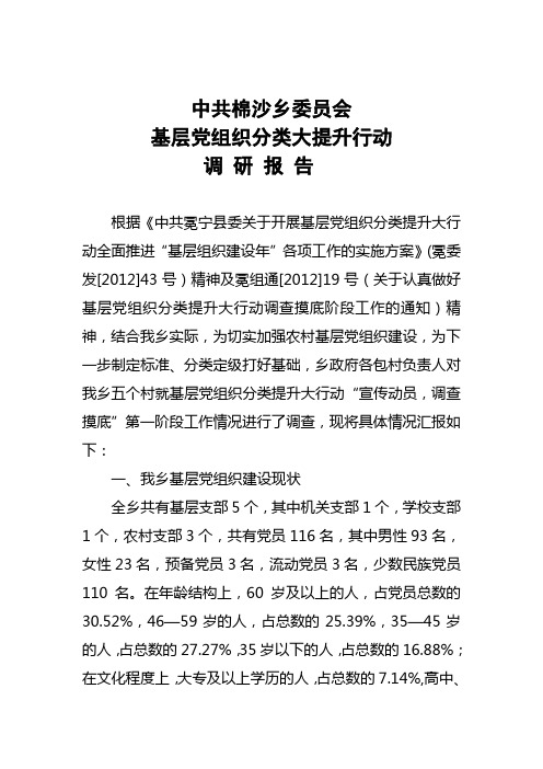 棉沙乡基层党组织分类大提升行动.调研报告