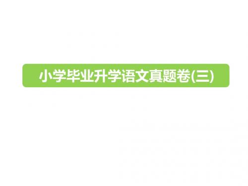 六年级下册语文PPT课件-2019小升初真题卷(三) 全国通用  (共25张PPT)(含答案)