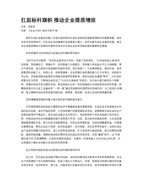 扛起标杆旗帜 推动企业提质增效