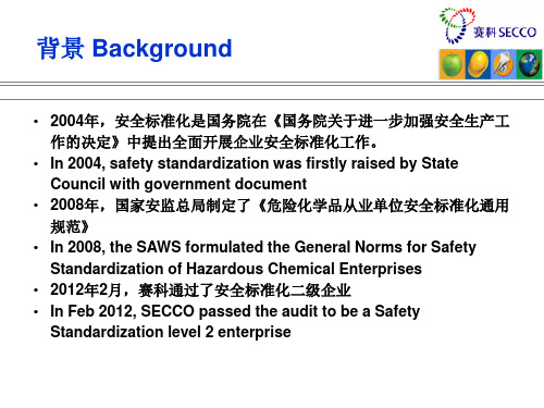 安全标准化一级企业