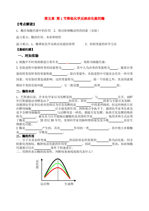 高中生物酶与ATP的导学案新人教版必修1