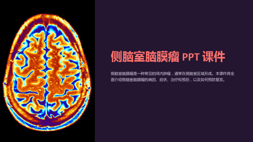 《侧脑室脑膜瘤》课件