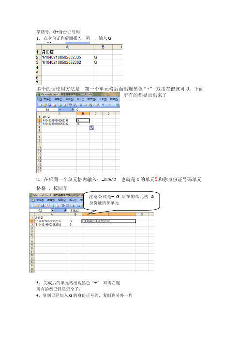 批量操作学籍号前面加g心得