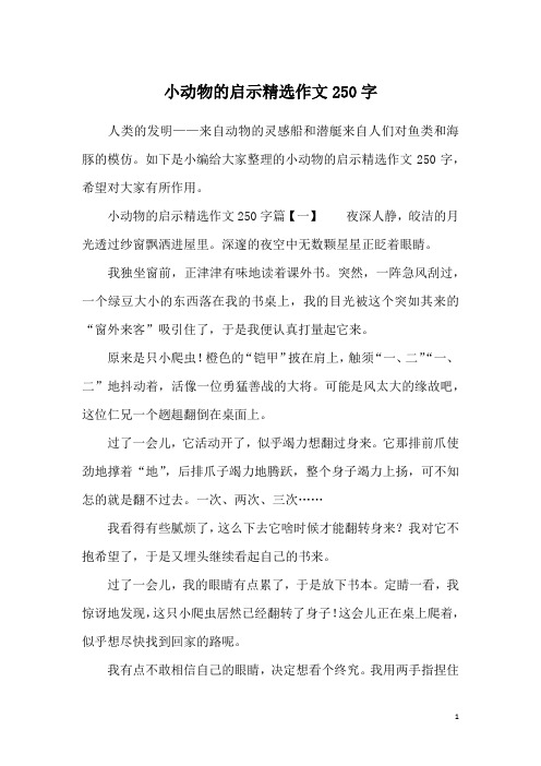 小动物的启示精选作文250字