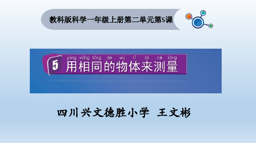 一年级上册科学课件用相同的物体来测量教科版5