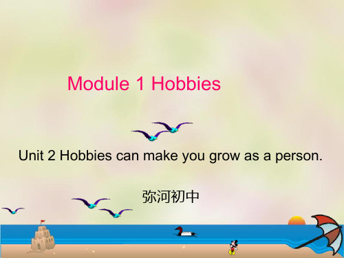 HobbiesPPT课件